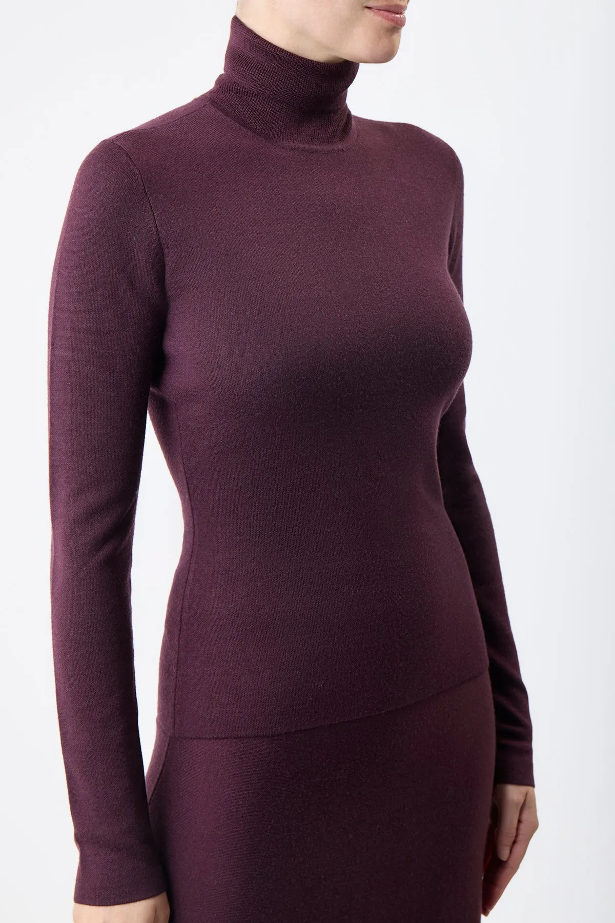 May Knit Turtleneck in Deep Bordeaux Merino Wool Cashmere